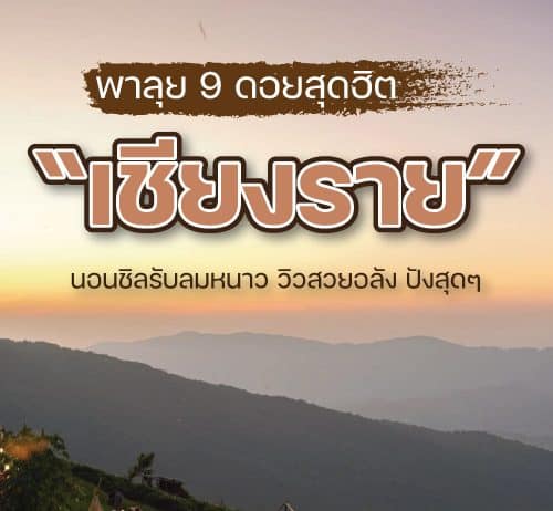 9 ดอยเชียงราย รับลมหนาวปี2023