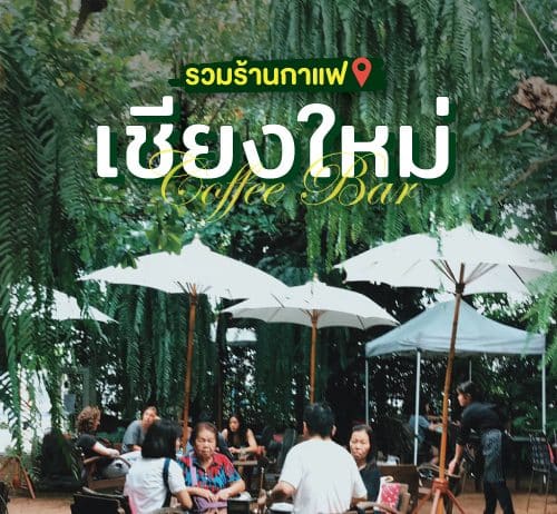 ร้านกาแฟเชียงใหม่ ยอดนิยม 2566