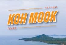 ที่เที่ยวตรัง 2566 เกาะมุก หาดสวย ทะเลใส ถ้ำมรกตดัง ตามมาชิลกัน