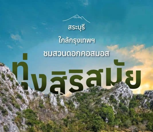 ที่เที่ยวทุ่งสิริสมัย สระบุรี ถ่ายรูป ใกล้กรุงเทพ อลังการ ทุ่งดอกไม้