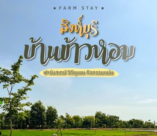 ที่เที่ยวนอนกลางทุ่ง บ้านข้าวหอม สิงห์บุรี ที่เที่ยวใกล้กรุงเทพ