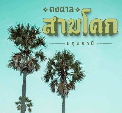 ที่เที่ยวปทุมธานี ดงตาลสามโคกชมวิวพระอาทิตย์ตก บรรยากาศสุดฟิน