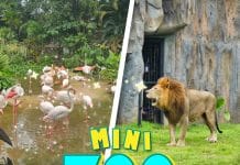 สวนสัตว์นครราชสีมา ที่เที่ยวสำหรับ ครอบครัว