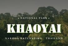 อุทยานแห่งชาติเขาใหญ่ ผืนป่ามรดกโลก อุทยานแห่งชาติเขาใหญ่